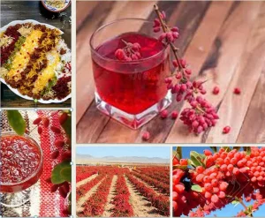 barberry Dried barberry Lavashak barberry in food barberry drink
