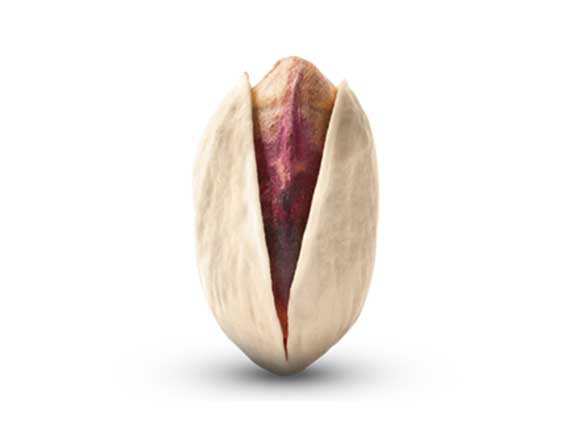 akbaribig