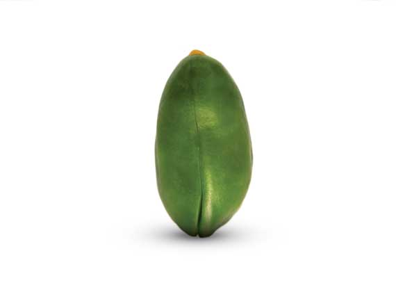 kernelgreenbig