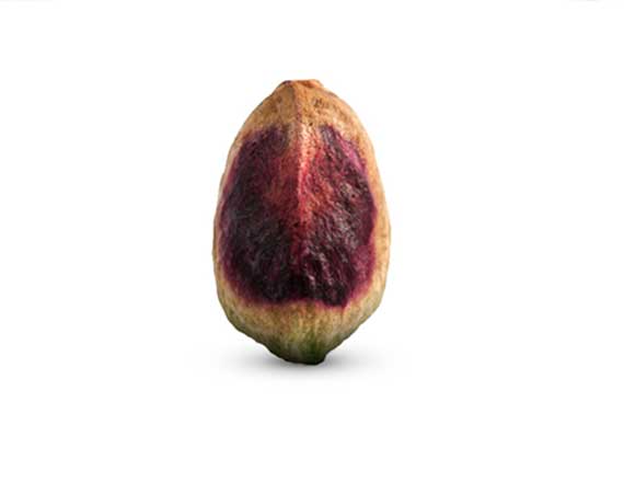 kernelredBig
