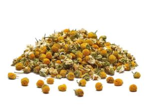 Chamomile supplierChamomile exporter Chamomile producer Iranian Chamomile Chamomile cultivation Chamomile farmer Chamomile factory
