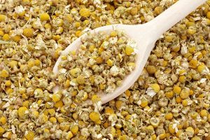 Chamomile supplierChamomile exporter Chamomile producer Iranian Chamomile Chamomile cultivation Chamomile farmer Chamomile factory
