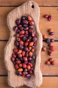 Rosehip cultivationRosehip farmer Rose hip exporter Dried rosehip peel producer Rosehip factory Rosehip supplier