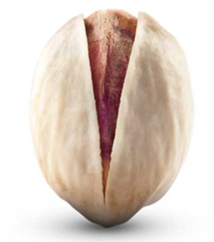 fandighiBig