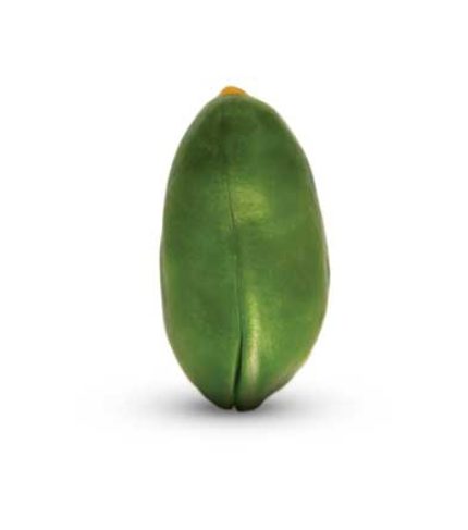 kernelgreenbig